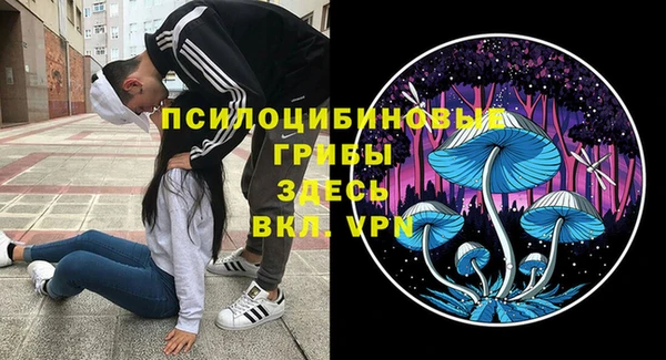 ешки Дмитров