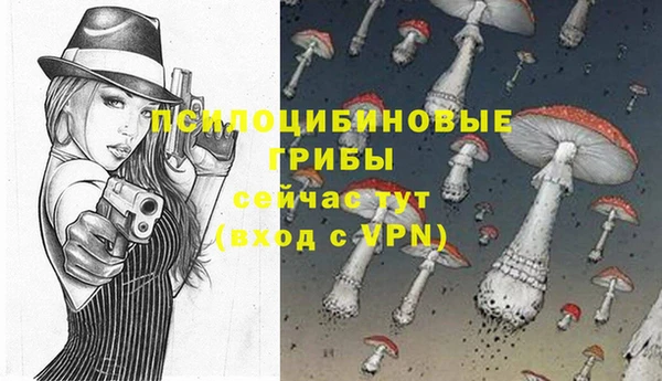 молекула духа Дмитровск