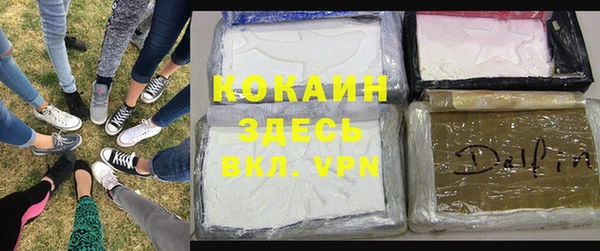 молекула духа Дмитровск