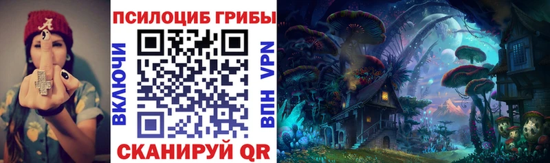 Купить где  Кириши  Псилоцибиновые грибы Magic Shrooms 